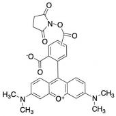  5(6)-Carboxytetramethylrhoda 