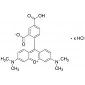  5-Carboxytetramethyl Rhodamine 