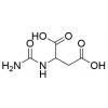  N-Carbamoyl-DL-aspartic Acid 