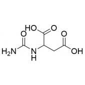  N-Carbamoyl-DL-aspartic Acid 