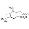  -Caryophyllinic Acid 