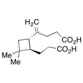  -Caryophyllinic Acid 