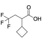  2-Cyclobutyl-4,4,4-trifluoro 