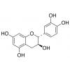  (+)-Catechin 