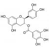  (-)-Catechin Gallate 