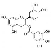  (-)-Catechin Gallate 