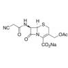  Cefacetrile Sodium 