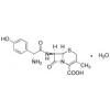  Cefadroxil Monohydrate 