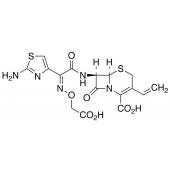  Cefixime 