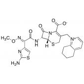  Cefquinome 