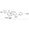  Ceftazidime Pentahydrate 