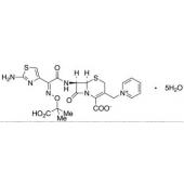  Ceftazidime Pentahydrate 