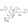  Ceftazidime t-Butyl Ester 