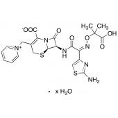  Ceftazidime Hydrate (environ 