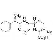  Cephradine 