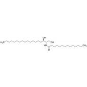  C14 Dihydroceramide 