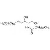  C22 Ceramide 