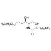  C22 Dihydroceramide 