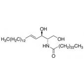  C24 Ceramide 