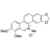  Chelerythrine Chloride 