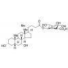  Chenodeoxycholic Acid 24-Acyl- 