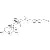  3-[(3-Cholamidopropyl)dimethyl 