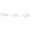  Chlorhexidine Digluconate 