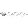  Chitotetraose Tetradecaacetate 