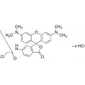  6-Chloroacetamidotetramethyl 