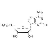  2-Chloroadenosine 5-Monophos 