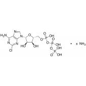  2-Chloroadenosine triphosphate 