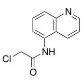  2-Chloro-N-5-quinolinyl 