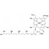  Chlorophyll b 