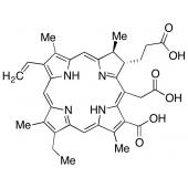  Chlorin E6 