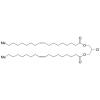  (Z)-2-Chloropropane-1,3-diyl 