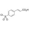  4-Chlorosulfonylcinnamic Acid 