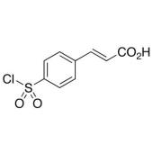  4-Chlorosulfonylcinnamic Acid 