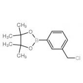  3-Chloromethylphenylboronic 