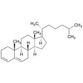  Cholesta-3,5-diene 