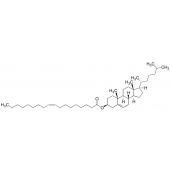  Cholesteryl Oleate 