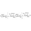  Chondroitin Sulfate Sodium 