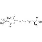  Cilastatin Sodium 