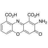  Cinnabarinic Acid 