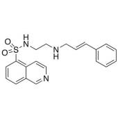  N-[2-(p-Cinnamylamino)ethyl]- 