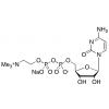  Citicoline Sodium Salt 