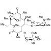  Clarithromycin 