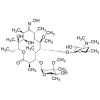  Clarithromycin 9-Oxime 