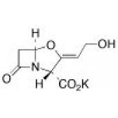  Clavulanic Acid Potassium Salt 