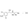  Clenpenterol Hydrochloride 