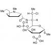  Clindamycin 2,4-Diphosphate 